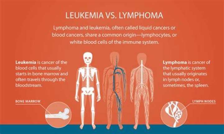 
Does Delia Ephron Have A Leukemia? Health Condition Explained 