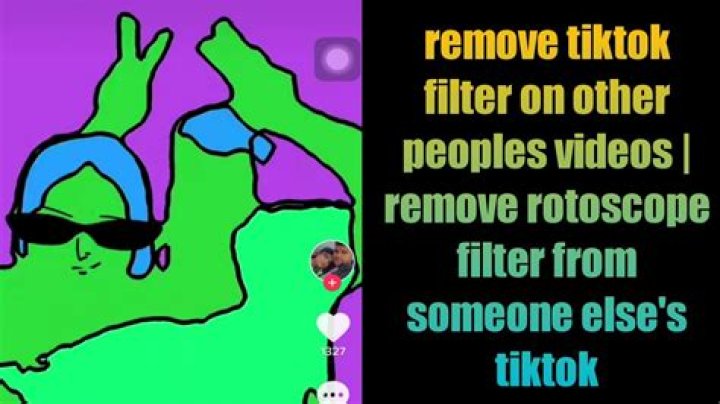 
Free Tiktok Removing Rotoscope Generator On Appstore, How Does It Work & Does It Remove The Filter? 