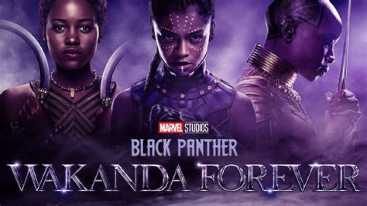 
Here’s When ‘Black Panther: Wakanda Forever’ Will Likely Be Available to Stream on Disney+ 