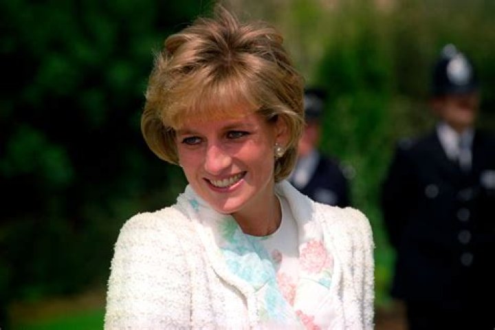 
How Princess Diana Would’ve Felt About Her Sons’ Rift, According to Biographer James Patterson 