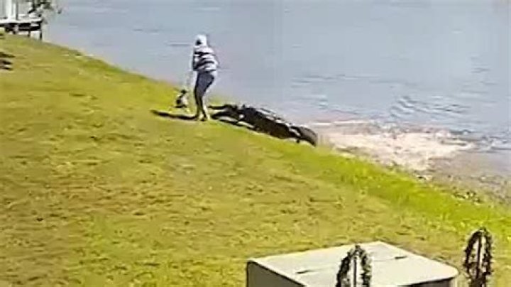 
What happened to Gloria Serge? Officials identify Florida woman who died in fatal alligator attack 