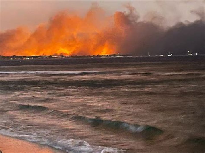 
Who is M Kaleo Manuel? Hawaiian official slammed over delaying water release for Maui fires 